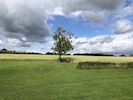 Old Hay Barn View